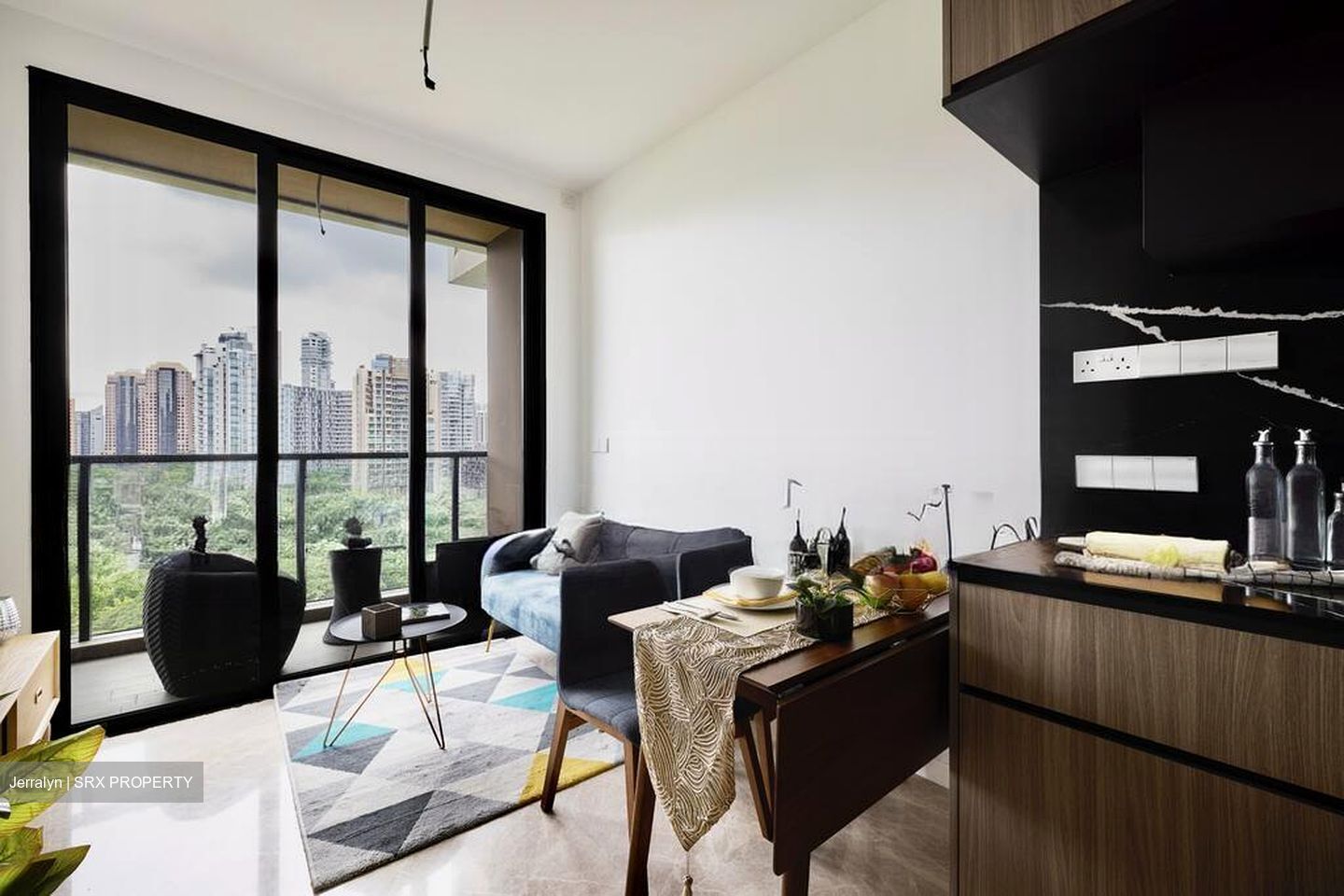 Irwell Hill Residences (D9), Apartment #497934731